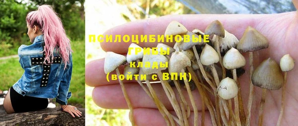 спиды Балахна
